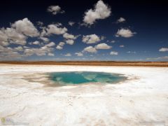Tapeta National Geographic 705.jpg